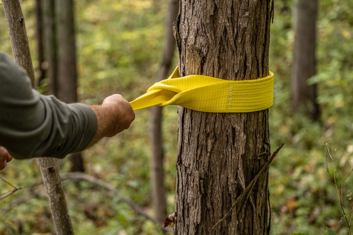 3" x 6' Tree Saver Winch Strap variant image view