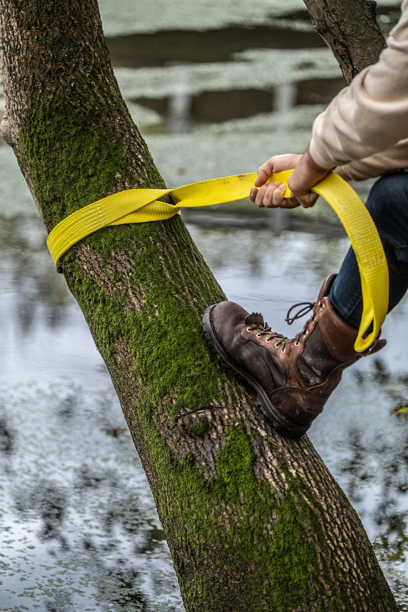 2" x 6' Tree Saver Winch Strap variant image view