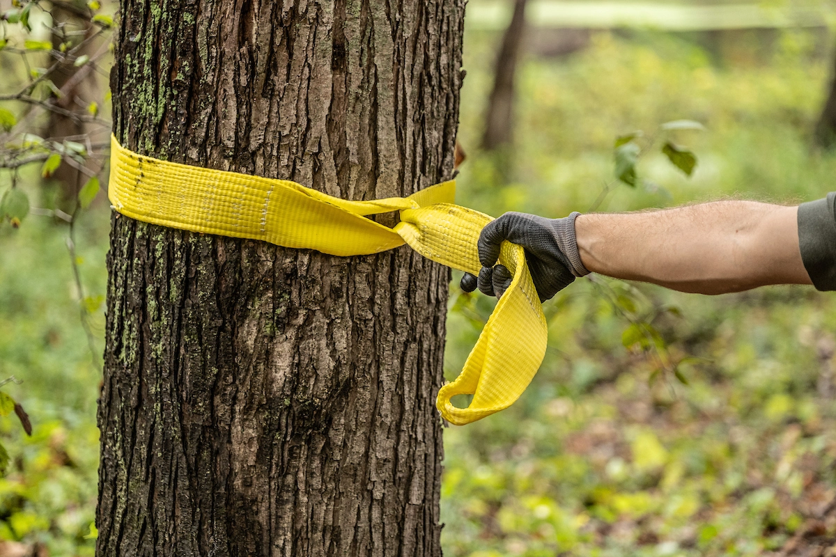 3" x 6' Tree Saver Winch Strap variant image view