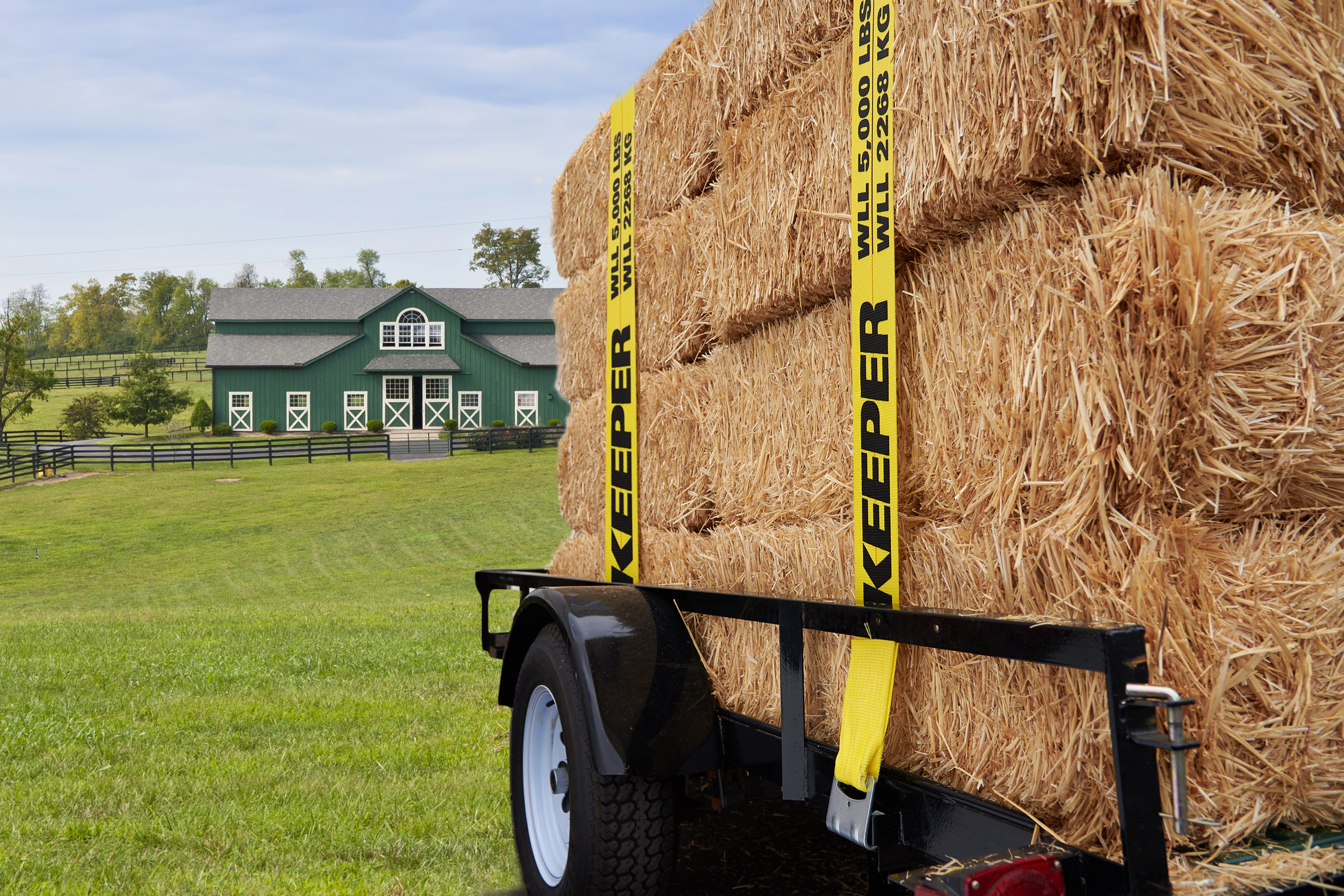 2" x 30' Heavy Duty Ratchet Tie-Down with Flat Hooks variant image view