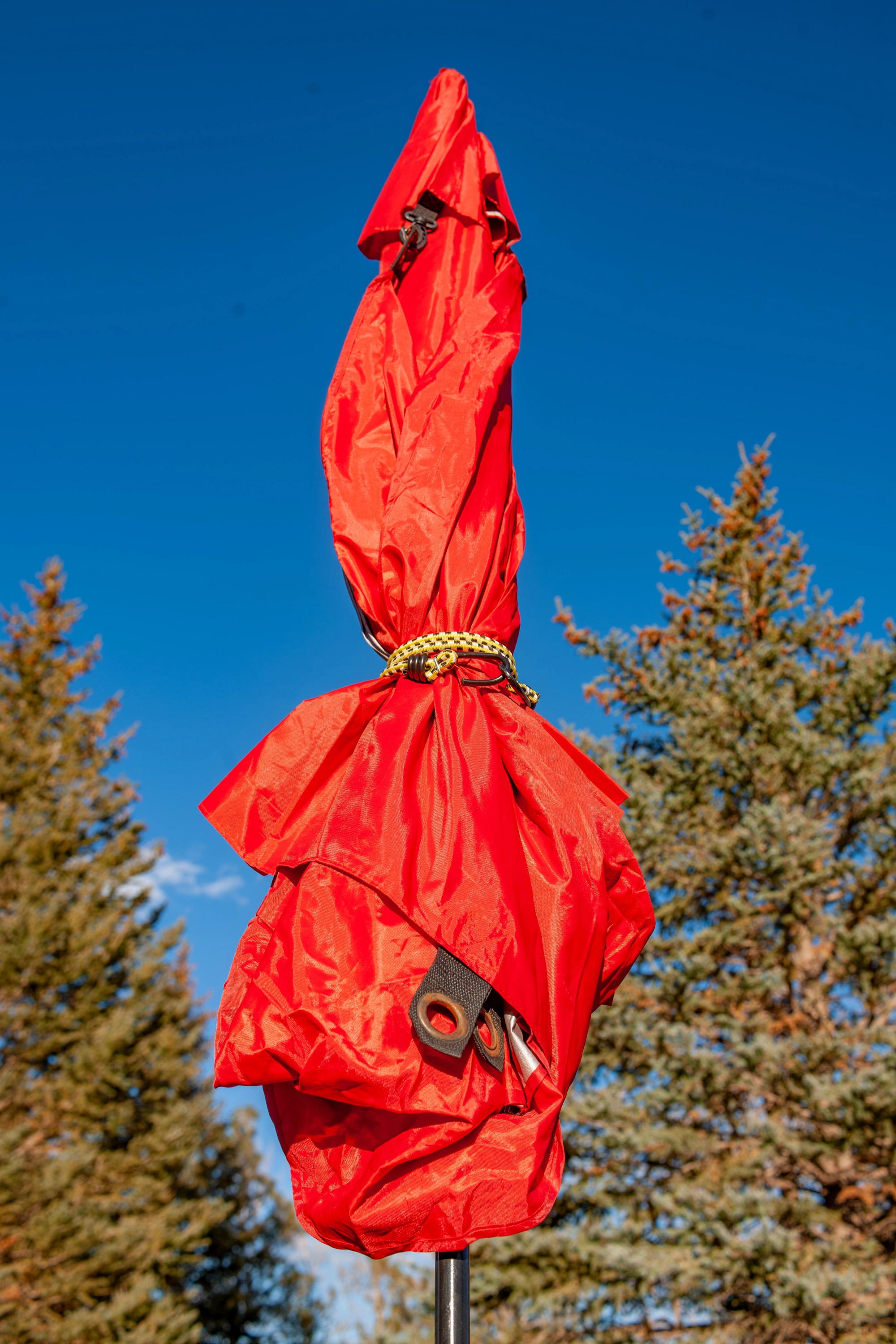 36" Vinyl Coated Bungee Cord variant image view