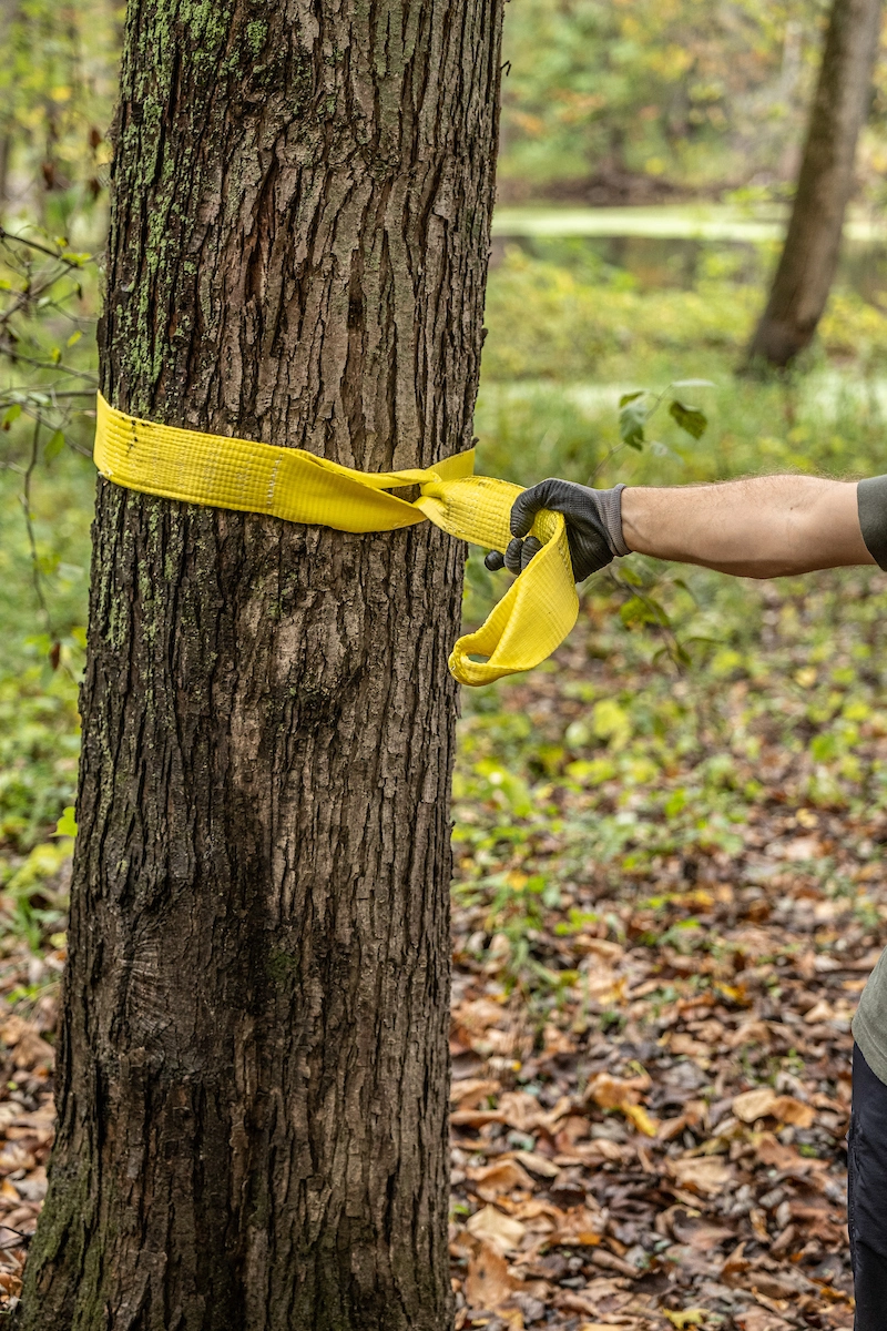 3" x 6' Tree Saver Winch Strap variant image view